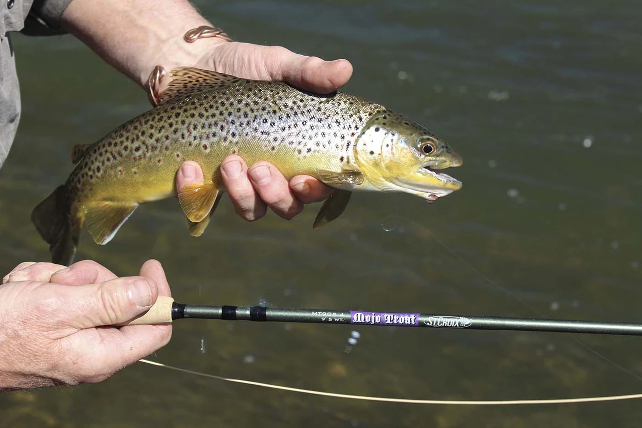 St. Croix Mojo Trout Fly Rods - Image 5