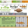 Texas Inshore Slam Release Ruler Decal